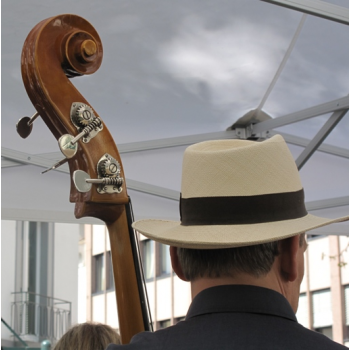 fruehling 2011 stephan von hinten fruehling 2011 stephan von hinten